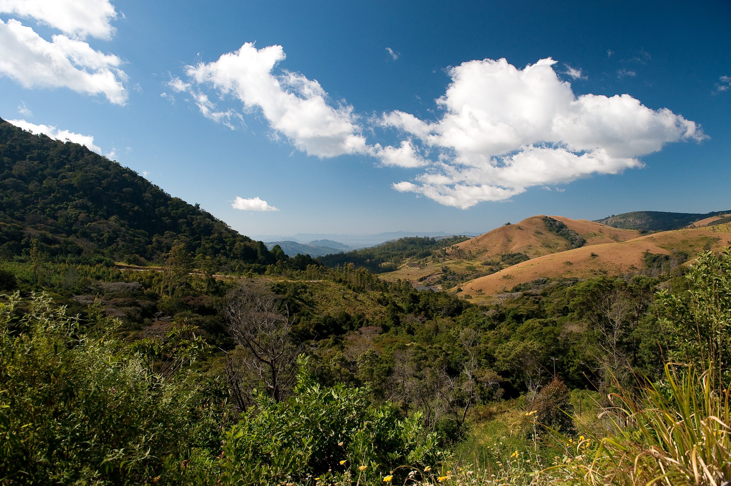 Nyanga