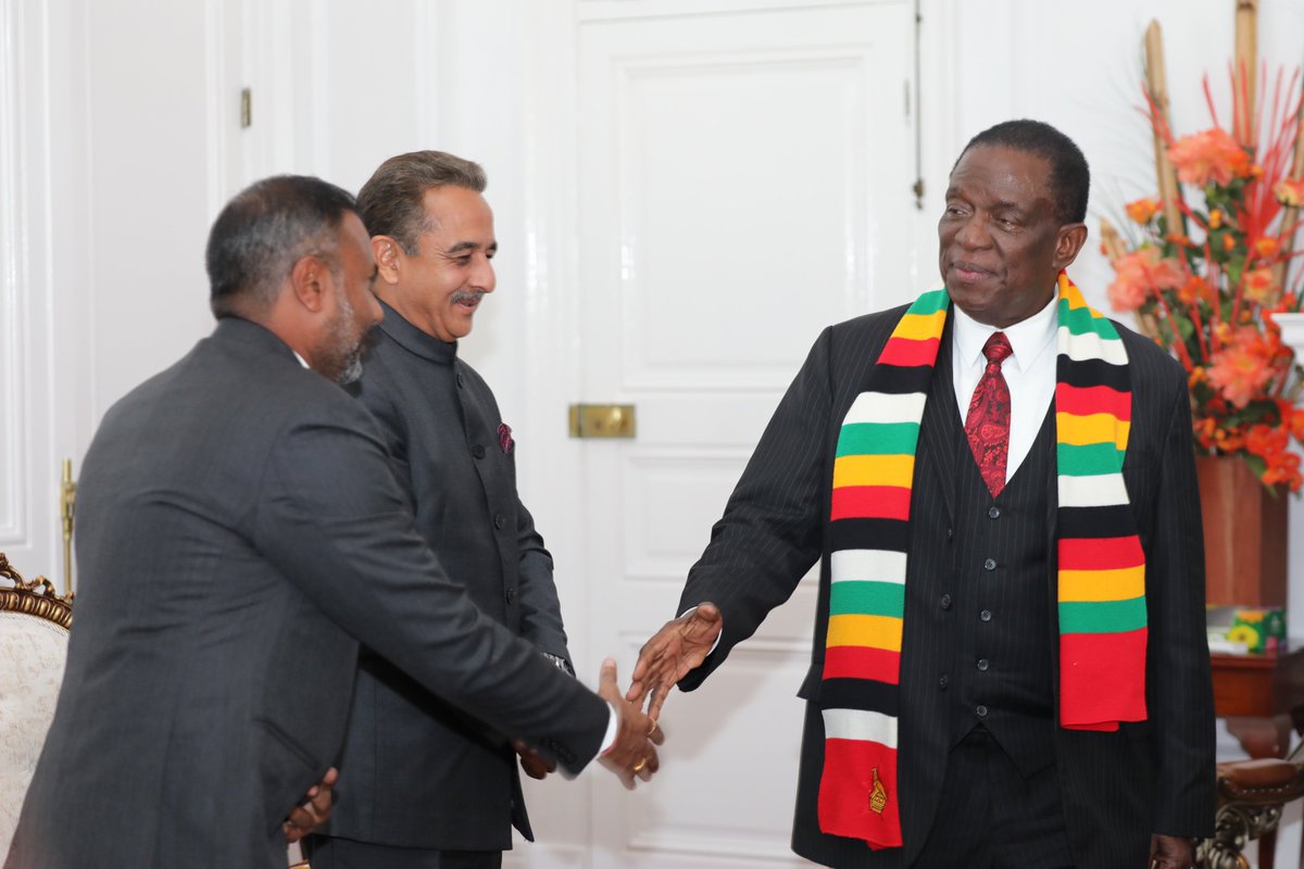 zim in